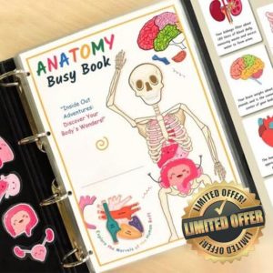 Human Anatomy Busy Book