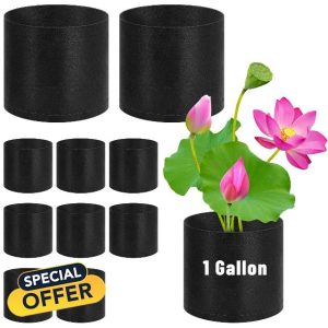 UCandy Lily Plant Pots for Pond