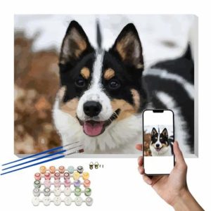 Custom Paint by Number