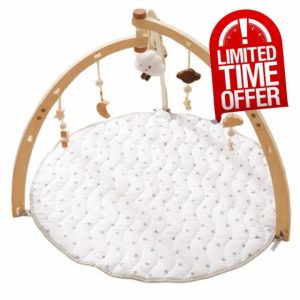 Play Gym Wood - Sensory Play Arch