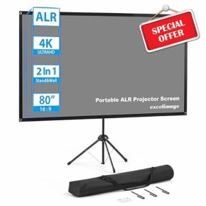 Portable Projector Screen and Stand