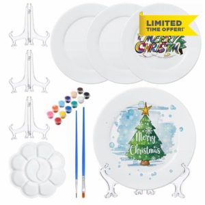Affrolling Paint Your Own Porcelain Plates Ceramic Painting Kit Included 2 Pcs Porcelain Plates 2 Pcs Paint Brushes 12 Paints 2 Stands Paint and 1 Pcs Color Palette