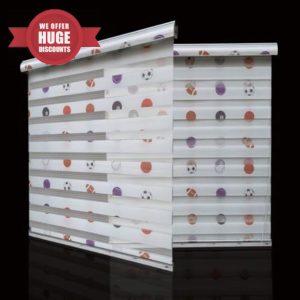 Day and Night Roller Blind Zebra Window Blinds