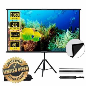 Projector Screen with Stand 60 inch