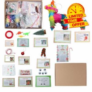 2024 NEW Elf Kit 24 Days of Christmas