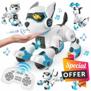 Dreamon Remote Control Robot Dog Toy for Kids