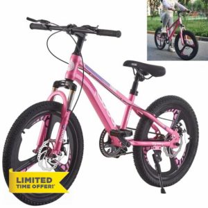 LSLIFE Kids Mountain Bike for Boys Girls 18 20 Inch Kids Bicycle for 6-14 Years Old Boys Girls with Shock Absorber Dual Disc Brake