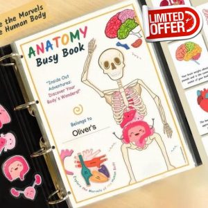 Human Anatomy Busy Book
