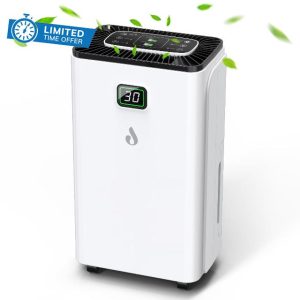 12L/Day Dehumidifiers for Home