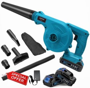 BAPHIYA Leaf Blower Cordless with 2 Batteries and Charger