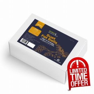 Fat Balls for Wild Birds | Pack of 15