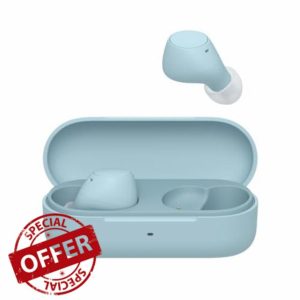 Sony WF-C510 Truly Wireless Earbuds – Small