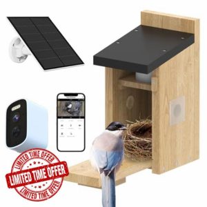 Bird House with Camera