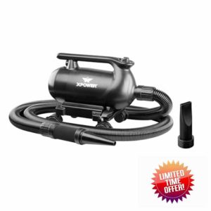 XPower A-16 Professional Car Dryer Blower with Mobile Dock Wheels for Home No Heating Functio