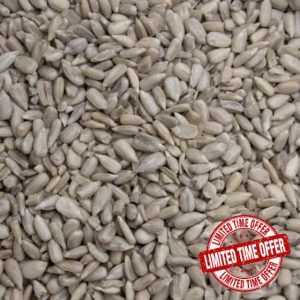 20kg Premium Sunflower Hearts Wild Bird Food