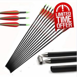 PHILOCS 12 Pcs Pure-Carbon Arrows ID 8 mm Spine 300 350 400 500 Hunting Arrow 100 Grains Broadhead Archery Arrow