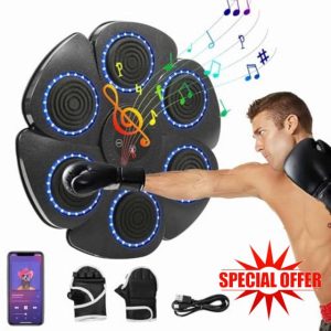 Eznaobo Music Boxing Machine