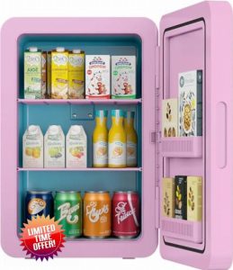 Rebongki Mini Fridge 22L/ 30 Cans Cooler and Warmer Portable Mini Fridge for Bedrooms with Adjustable Shelves