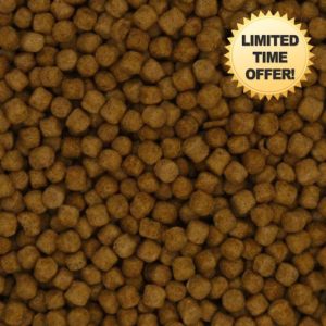 10Kg Premium Winter Pond Fish Food Pellets with Wheatgerm Floating with Spirulina and Vitamin C & E