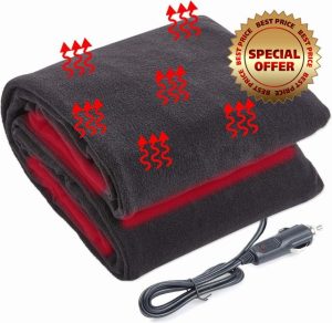 Big Ant Car Blanket