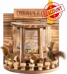 Squirrel Feeder for Outside