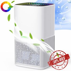 Dehumidifiers for Home