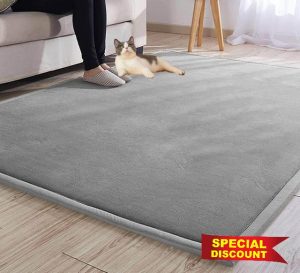 DG Catiee Large Crawling Mat Play Rug Soft Fleece Area Rug