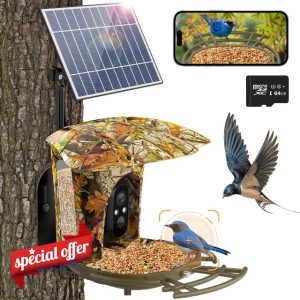 lollyes Smart Bird Feeder Camera