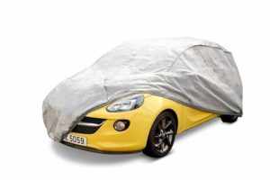 Hanwell Car Cover
