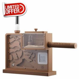Ant Farm Nest Cave Formicarium Habitat - Ant Nest with Cave and moisture System