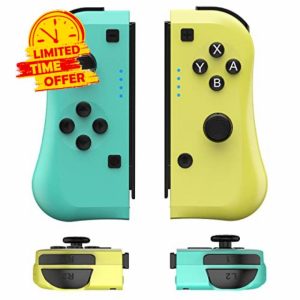 Controller for Switch