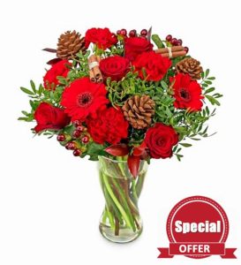 Christmas Bouquet - Bouquet of Flowers - Christmas Flowers - Fresh Flowers - Ocassional Flowers - Christmas Treat - Flowers - Gifts - Festivity Bouque