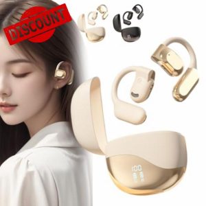 Ai Translator Earbuds