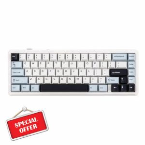 EPOMAKER x AULA F65 65% Wireless Mechanical Keyboard