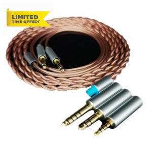 Yaowanguan Balanced Cable w/4.4mm