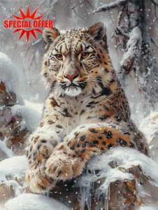 Snow Paint by Numbers Leopard Paint by Numbers for Children Beginners