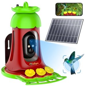 AI Identify Bird Species Smart Bird Feeder Camera with 7W Solar Panel