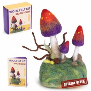 Wamkon Felt Set
