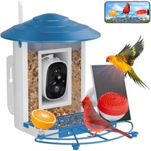Smart Bird Feeder Camera 2K Feed Cam for Outdoor Backyard-Ai Identify Auto Capture Bird Videos
