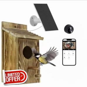 Smart Bird House With Camera