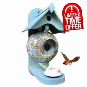 Hanging Bird House and Feeder Decorative Teapot Wooden Ceramic Bird Table Cyan with Waterproof Roof Outside Natural Garden Bird House Feeder for Hummingbirds