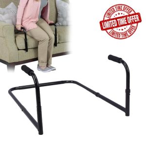 Grip and Go Stand up Assist