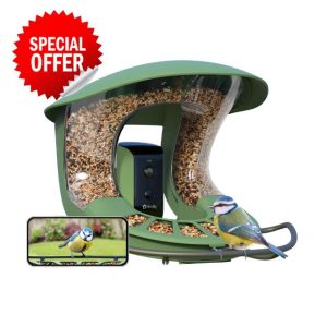Birdfy Upgraded Bird Feeder Camera