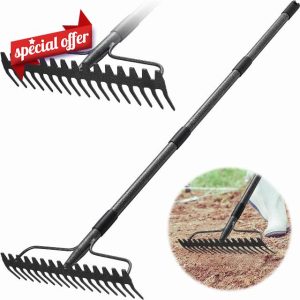 Bow Rake