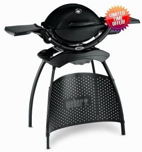 Weber Q1200 Gas Grill with Stand