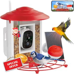 Bird Feeder with Camera Solar Powered