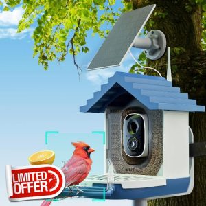 2K Smart Bird Feeders with Camera Solar Powered