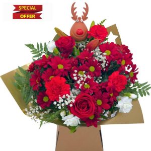 Homeland Florists Rudolph the Reindeer Christmas Fresh Flower bouquet Gift Wrapped in Presentation Vase and Handwritten Xmas Card