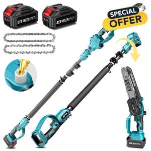 Seesii 2 in 1 Cordless 8 inch Pole Saw & Mini Chainsaw with 2 Battery