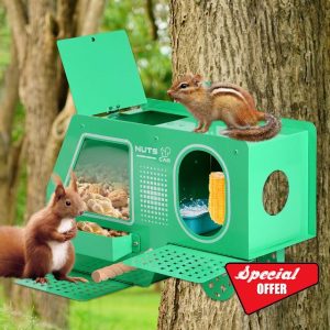 Squirrel Feeder for Hanging Outside Tree